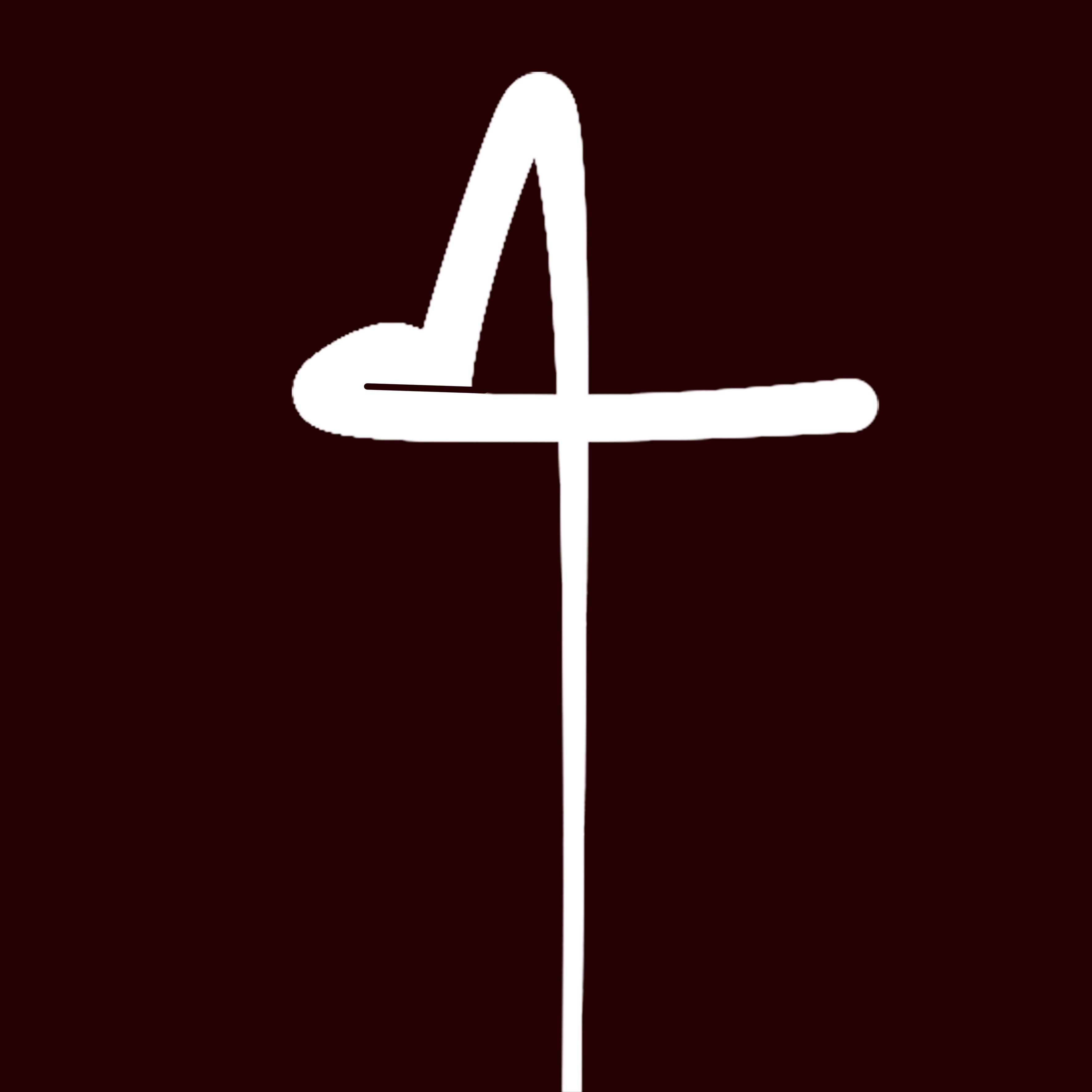 Logo VandaVee
