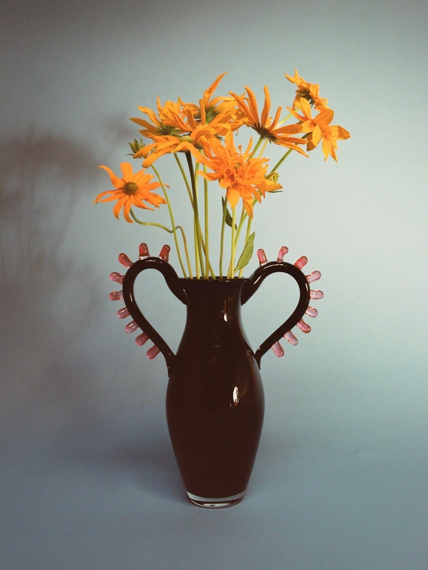 The L'Aurore Vase by Sophie Lou Jacobsen, featuring dual handles and pink accents, holds an artisanal array of vibrant orange flowers. Its soft blue backdrop offers a harmonious contrast, highlighting the minimalist design as flower shadows gracefully move on the background.