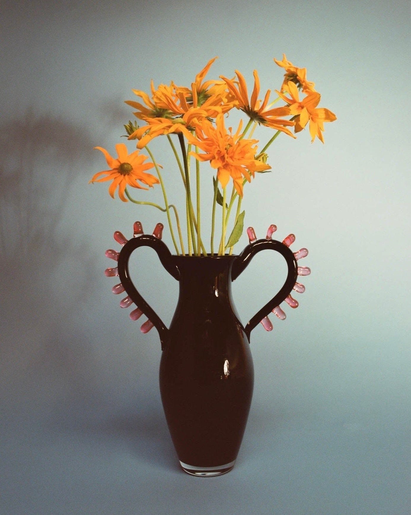 The L'Aurore Vase by Sophie Lou Jacobsen, featuring dual handles and pink accents, holds an artisanal array of vibrant orange flowers. Its soft blue backdrop offers a harmonious contrast, highlighting the minimalist design as flower shadows gracefully move on the background.