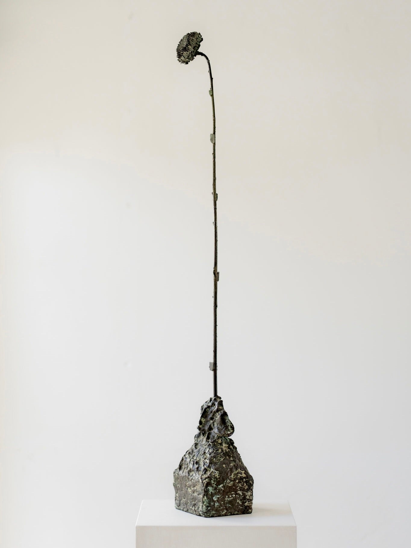 'Blossom After Burial, 2025' Sculpture
