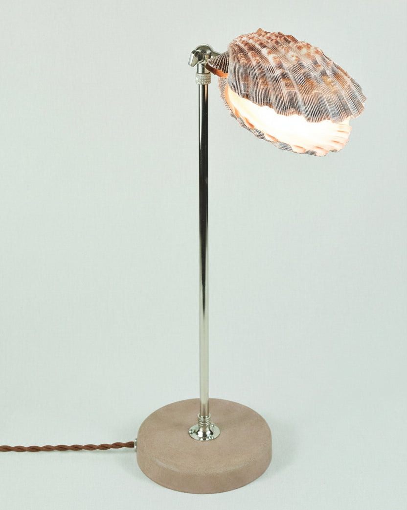 Lavender Lion's Paw shell table lamp with brass adjustable arm