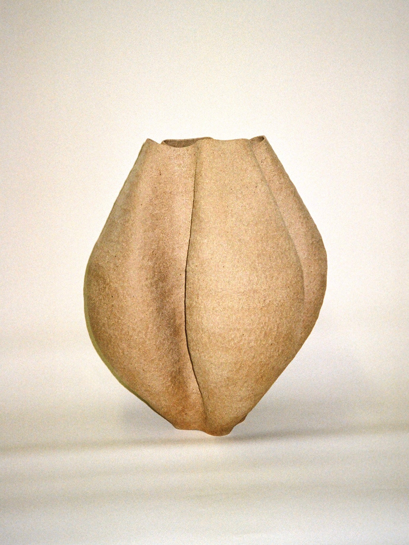 Growing Vase n.3
