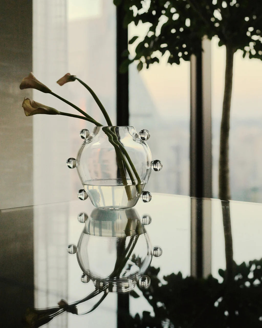 Clear glass vase with silver spherical details holding green stems