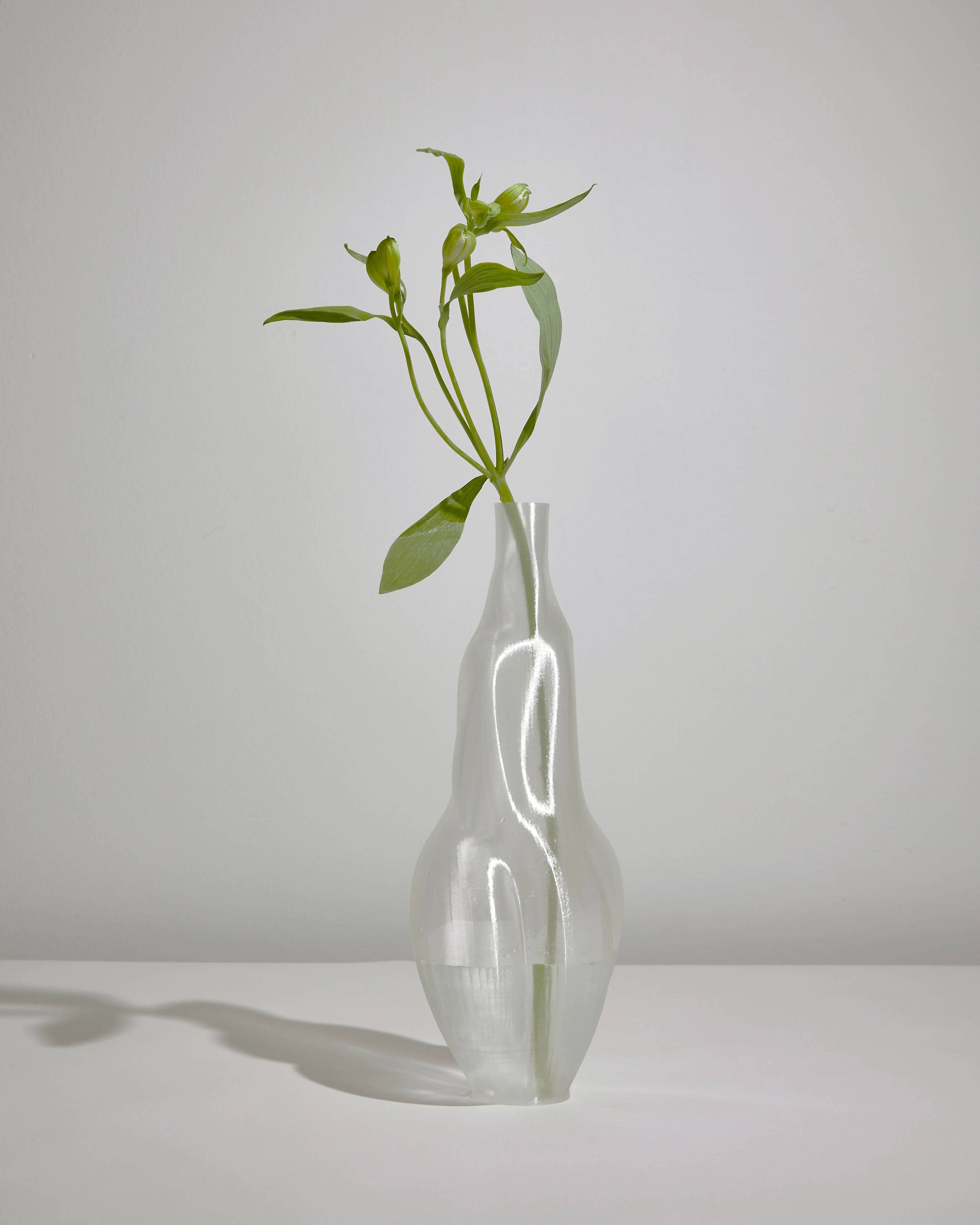 The Éson Vessel by Argot Studio, a handcrafted clear glass vase with a unique shape, holds a single green plant stem with leaves against a plain gray background. It rests on a simple white surface, casting delicate shadows.