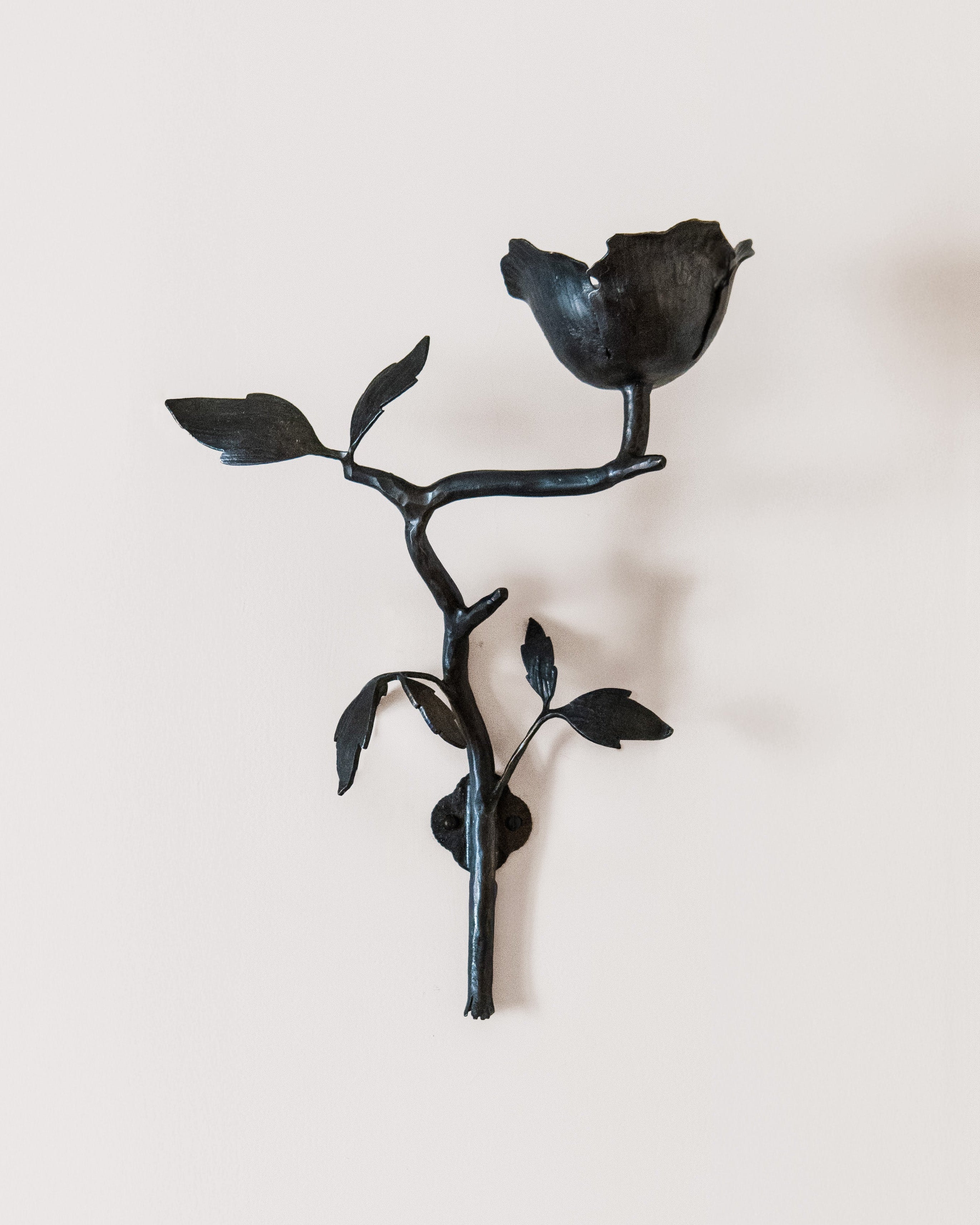 Clematis Wall Light by Jess Wheeler Studio | The Oblist — handcrafted black metal design