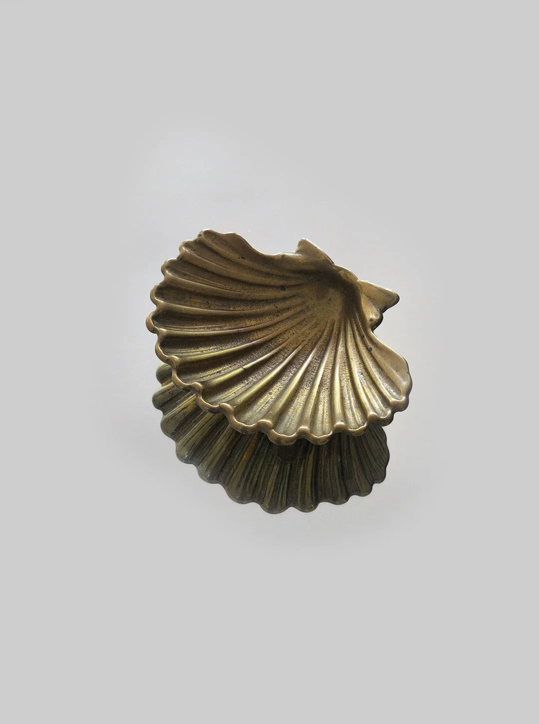 Shell Brass Vide-Poche — detail view