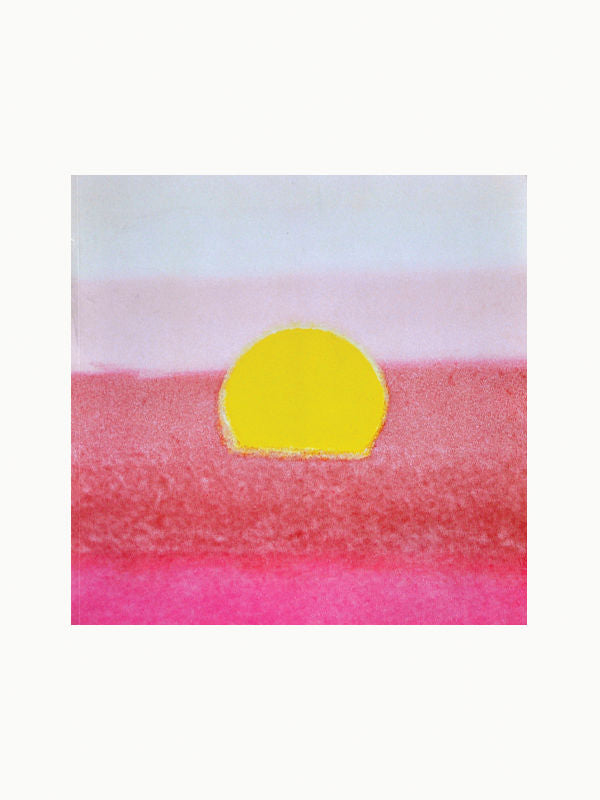 Art Books The Andy Warhol Foundation for the Visual Arts: 20 Year Report 1987-2007 Maison Plage