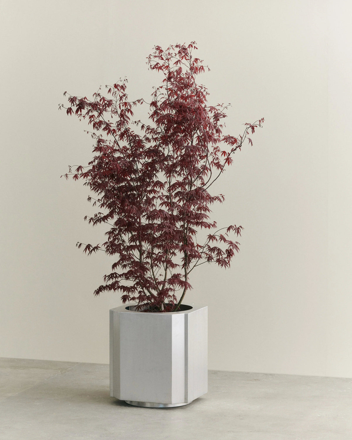 FUNKI POT X-LARGE by Louise Roe | The Oblist