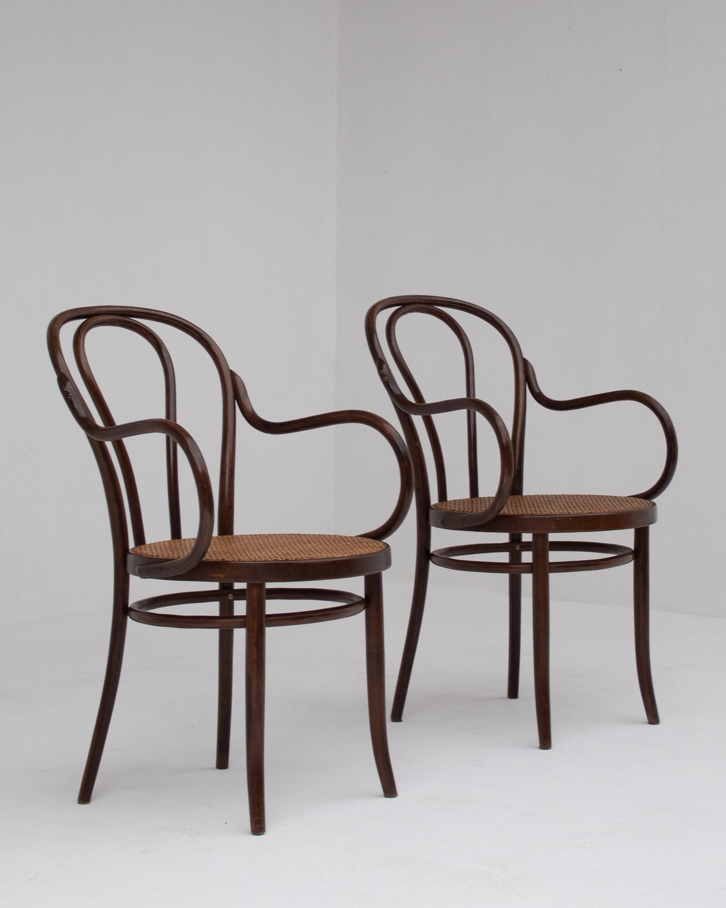 Set of Chair in Wood and Beech