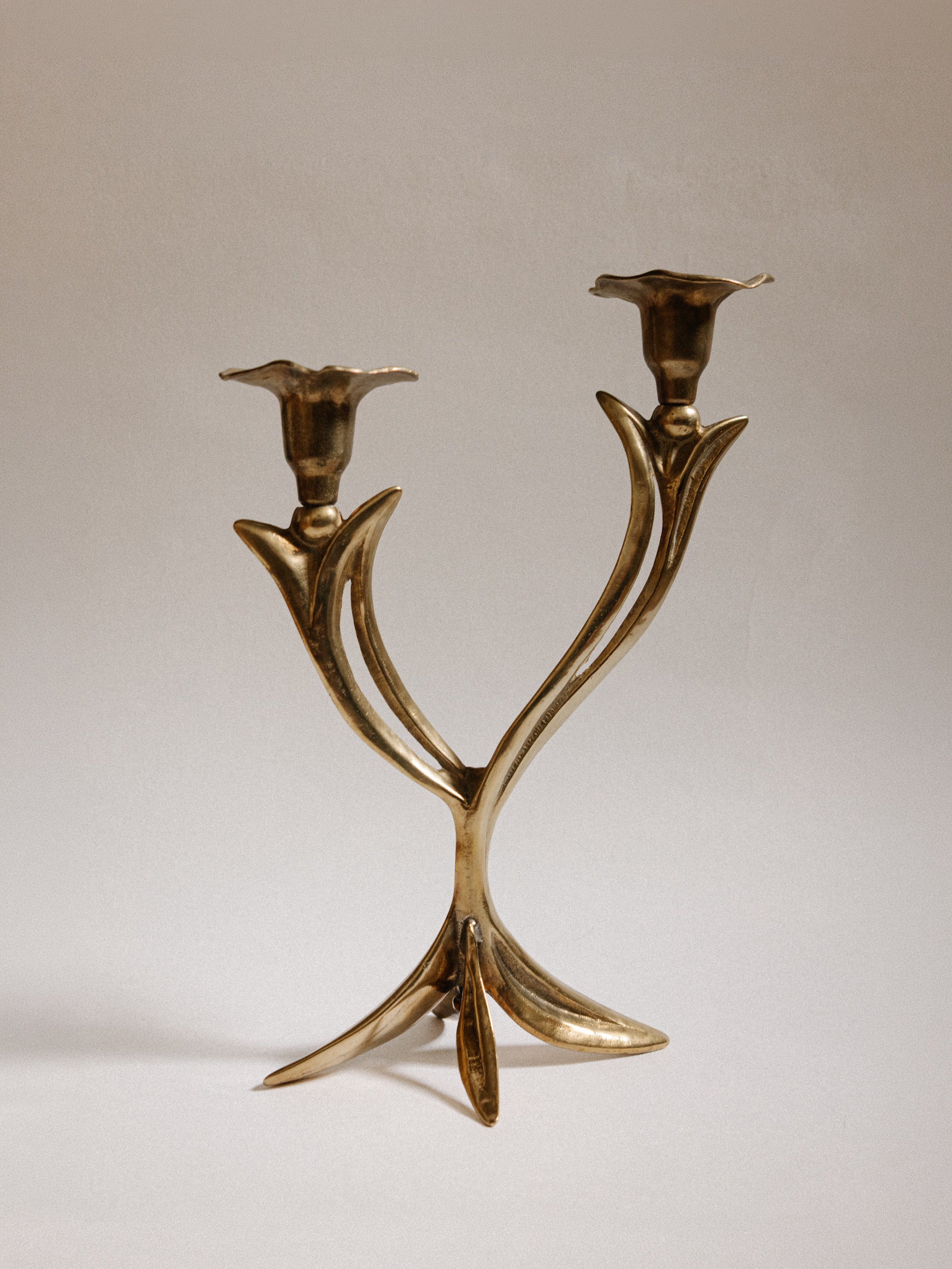 French Organic Flora Brass Candleholder by Trove Paris | The Oblist