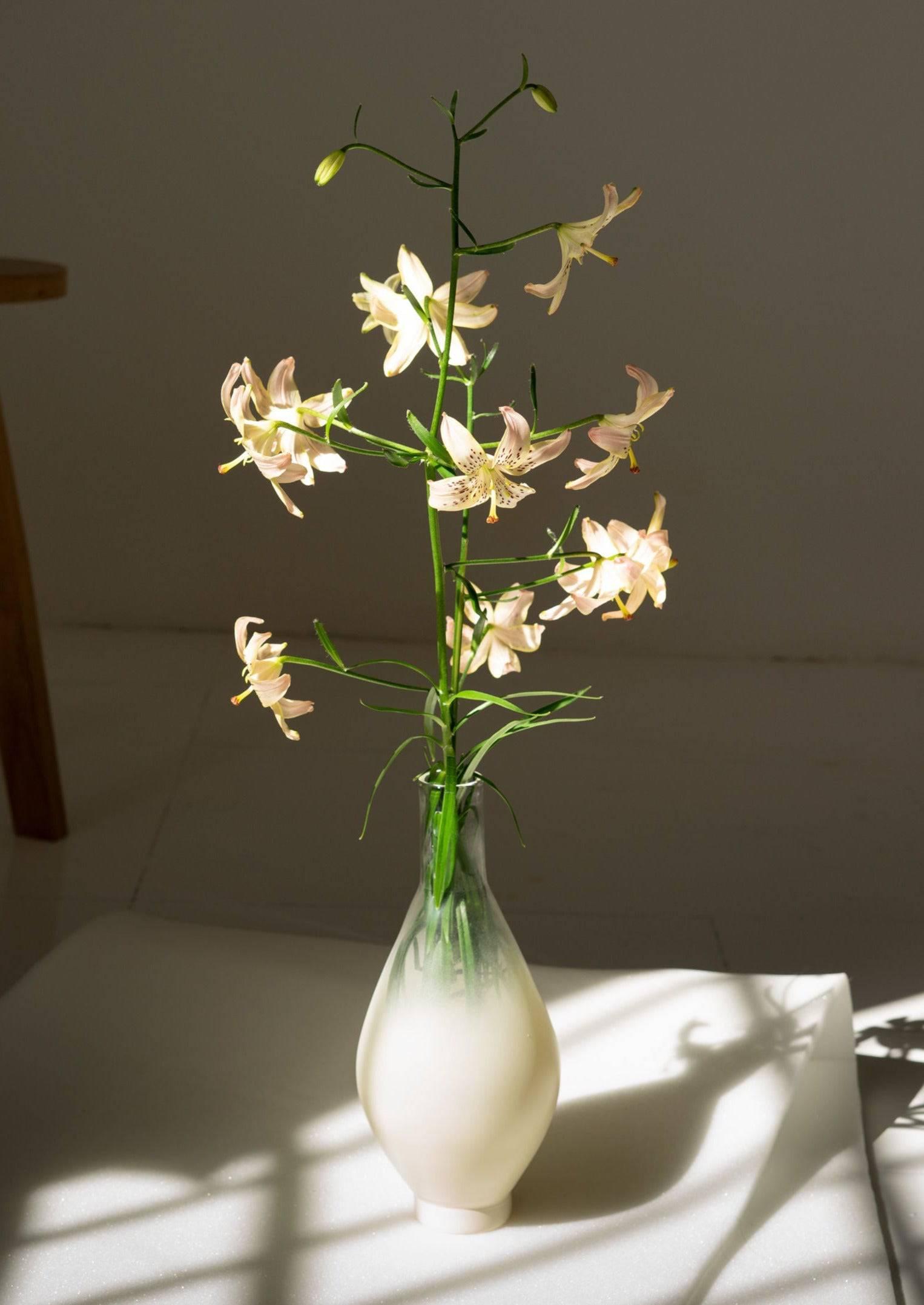 A white Los Objetos Decorativos glass vase with delicate pink lilies in sunlight, casting sharp shadows on a Beige Degradé surface, showcasing the flowers' elegant structure and the vase's smooth texture.