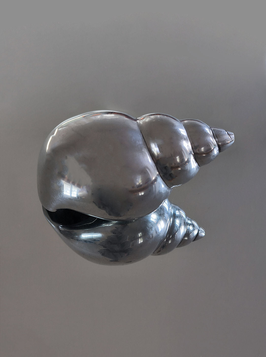 The Large Shell Sculpture by Les Objoies, made of shiny brass, rests on a reflective surface, creating a symmetrical mirror image against a soft gray background.