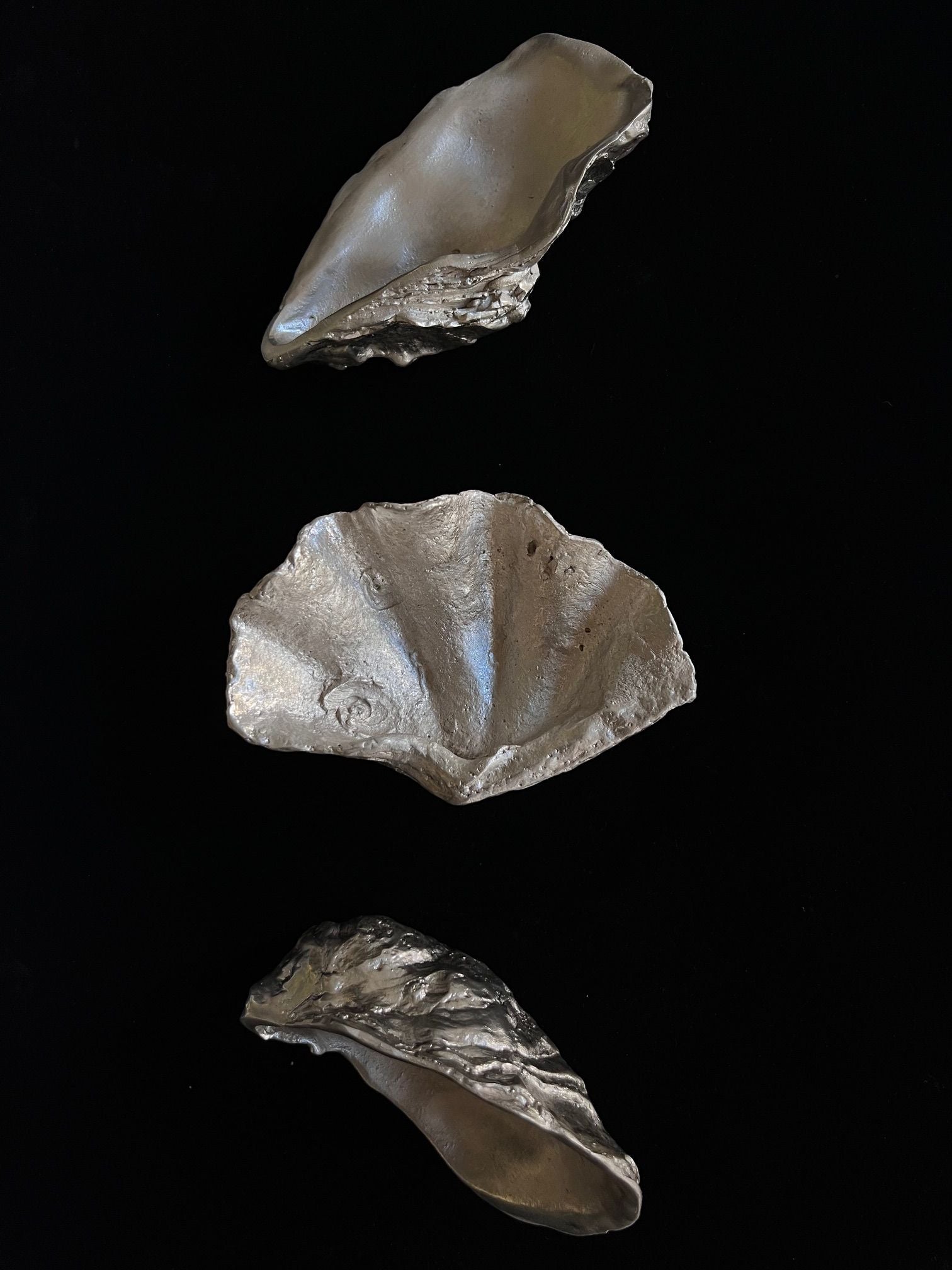 The Silver Oysters and a Fluted Shell Set by Médecine features three expertly crafted oyster shell-shaped objects displayed against a black backdrop. Varying slightly in size and texture, each piece boasts a shiny, reflective surface that exudes the elegance of solid bronze.