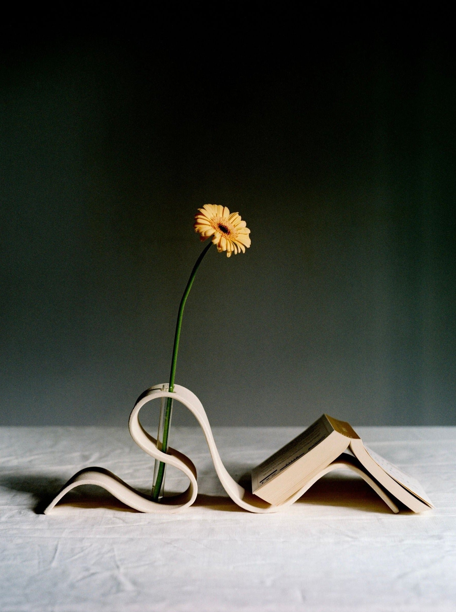 A yellow flower stands upright, its stem delicately supported by the Ribbon Vase in Off White by LESS. The vase adds an elegant touch to the scene, with the flower positioned in the center. The setup is on a white surface against a dark background.