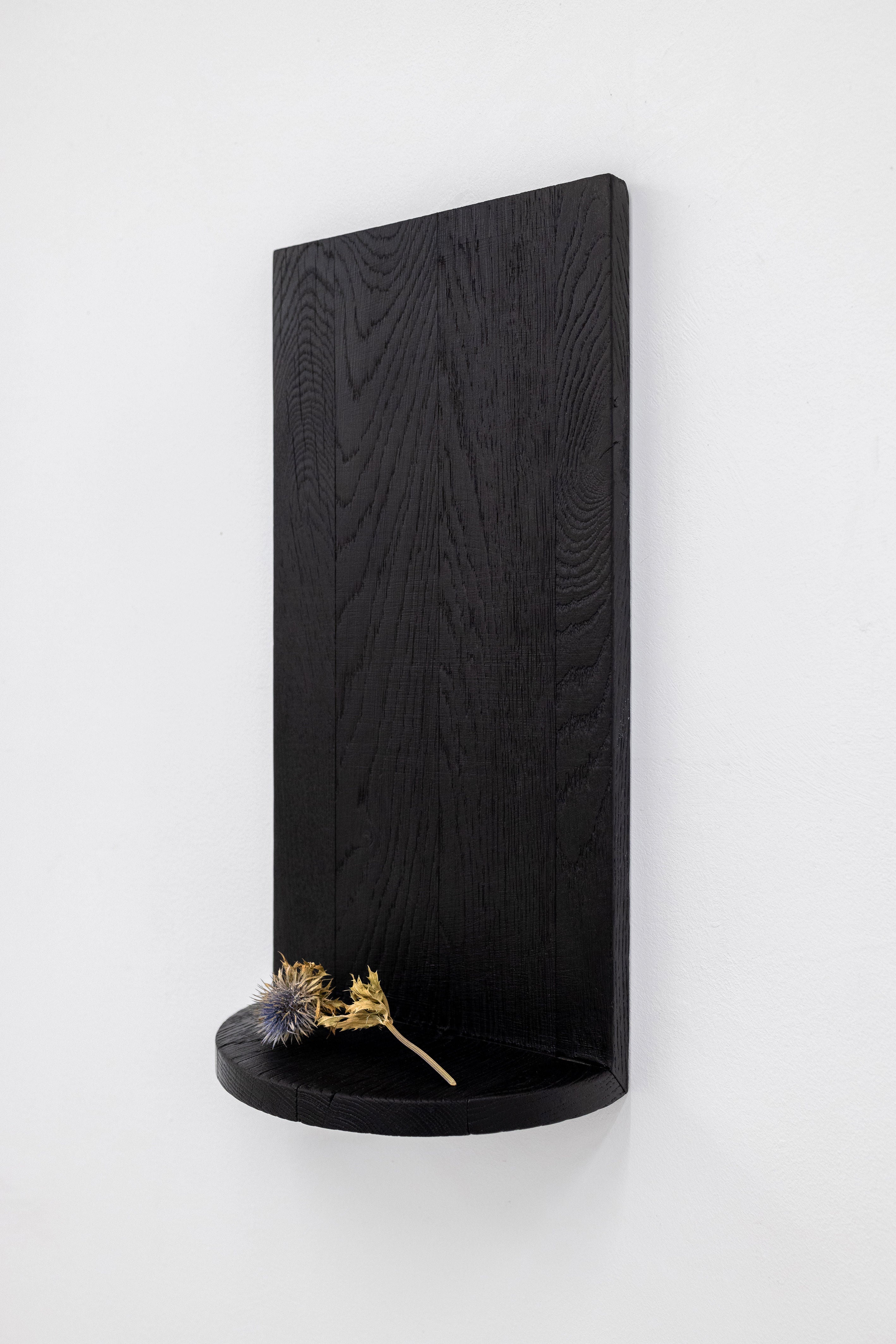 The "Megaron" Shelf Black by COSEINCORSO, a minimalist sculptural shelf with a rounded base, is mounted on a white wall and displays two dried thistle flowers with spiky petals.