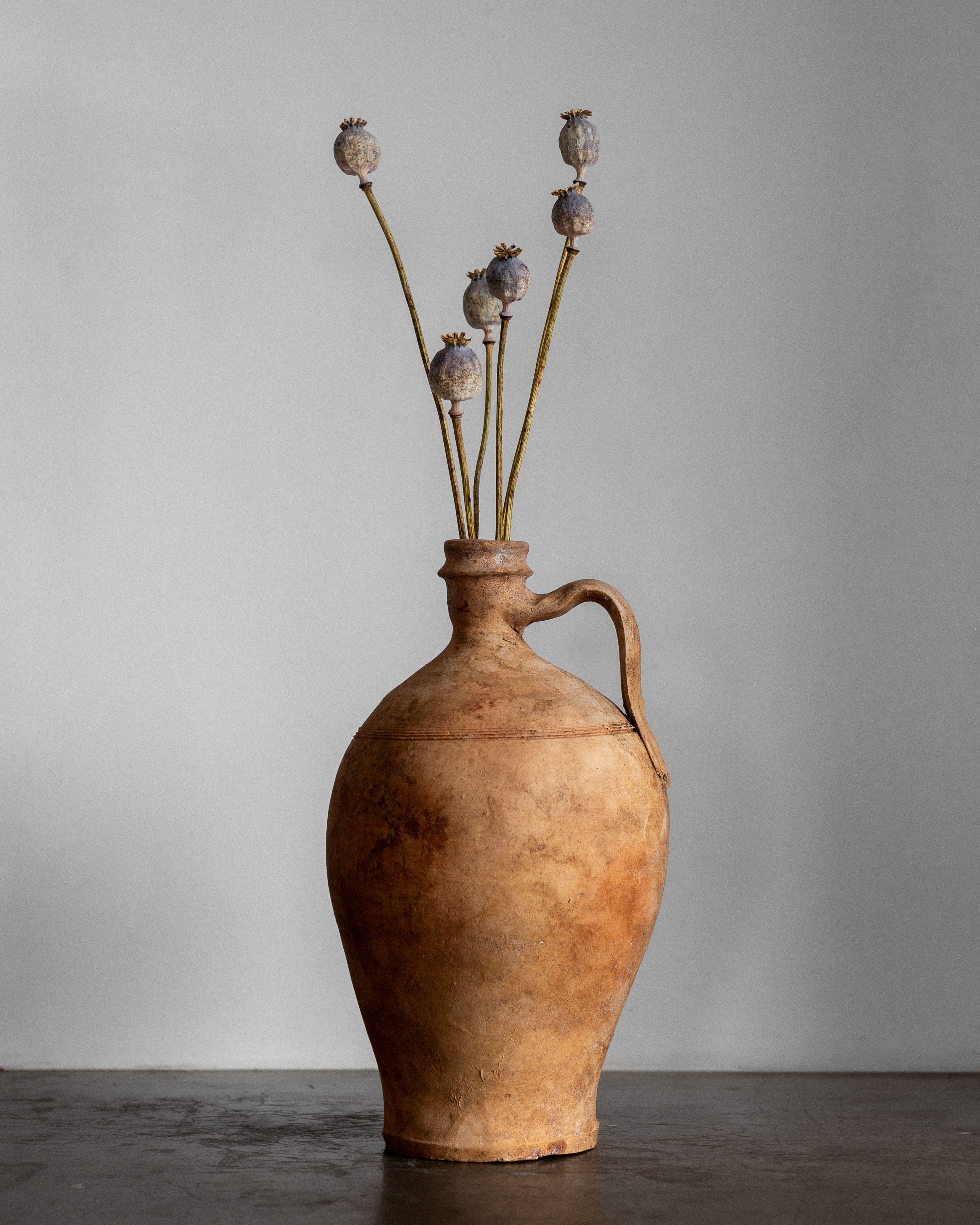 The Early 20th Century European Olive Jar by Spigel, a rustic brown clay piece with a handle, sits against a plain background. Long, slender stems with round seed pods top the jug, resembling dried poppy flowers and reminiscent of hand-crafted European pottery.
