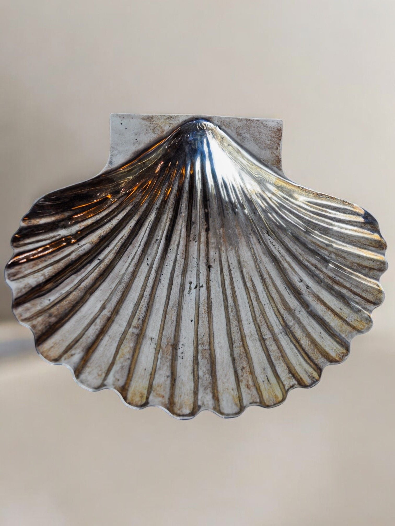 A silver-plated Shell Vide-poches by Valenti, from Malamar Studio's 70s collection, is mounted against a plain beige background. This design features an elegant shell shape with ribbed detailing and a reflective surface, along with a subtle tarnish that gives it a vintage appearance reminiscent of classic scallop shell decor.