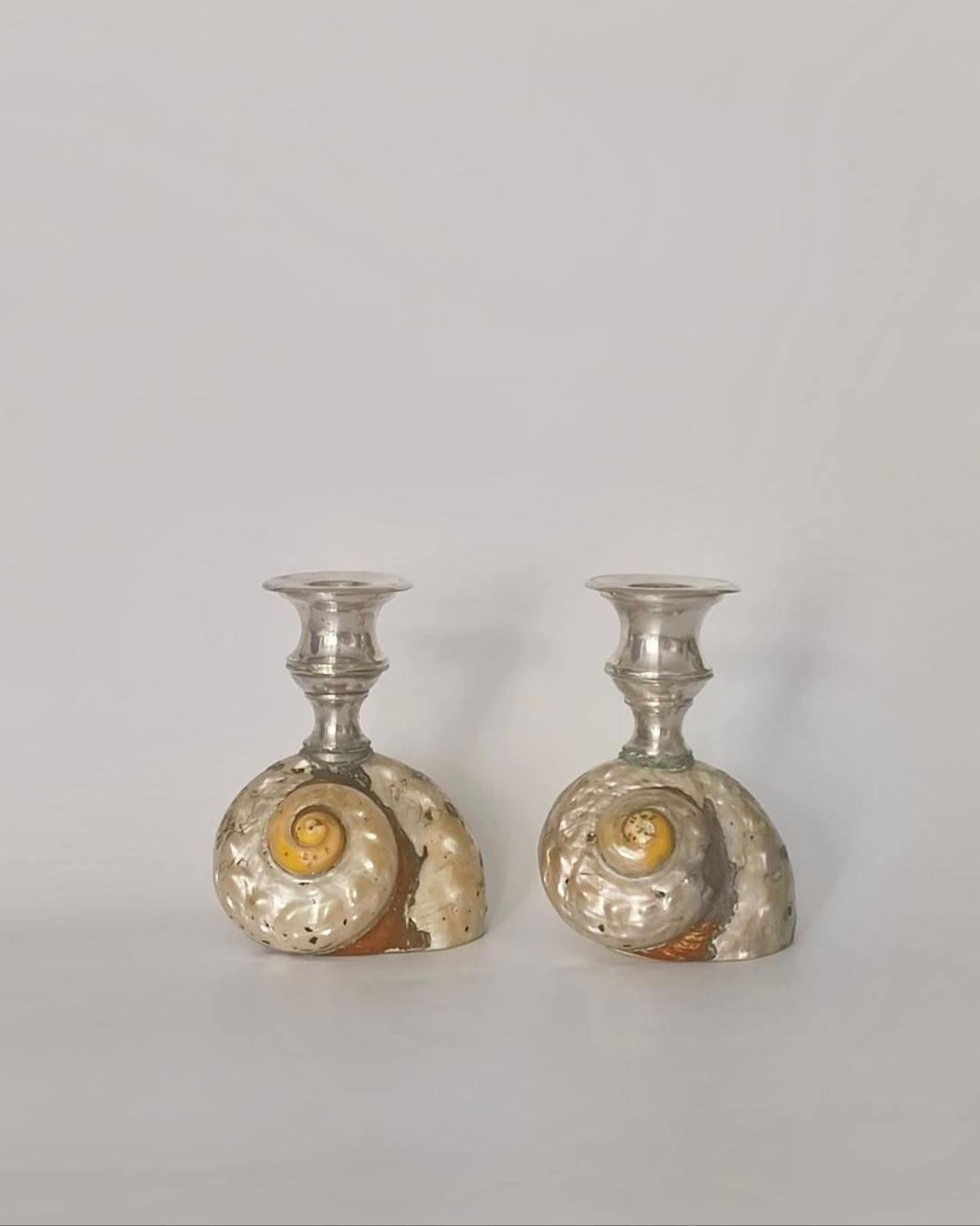 Antique Shell Candle Holders