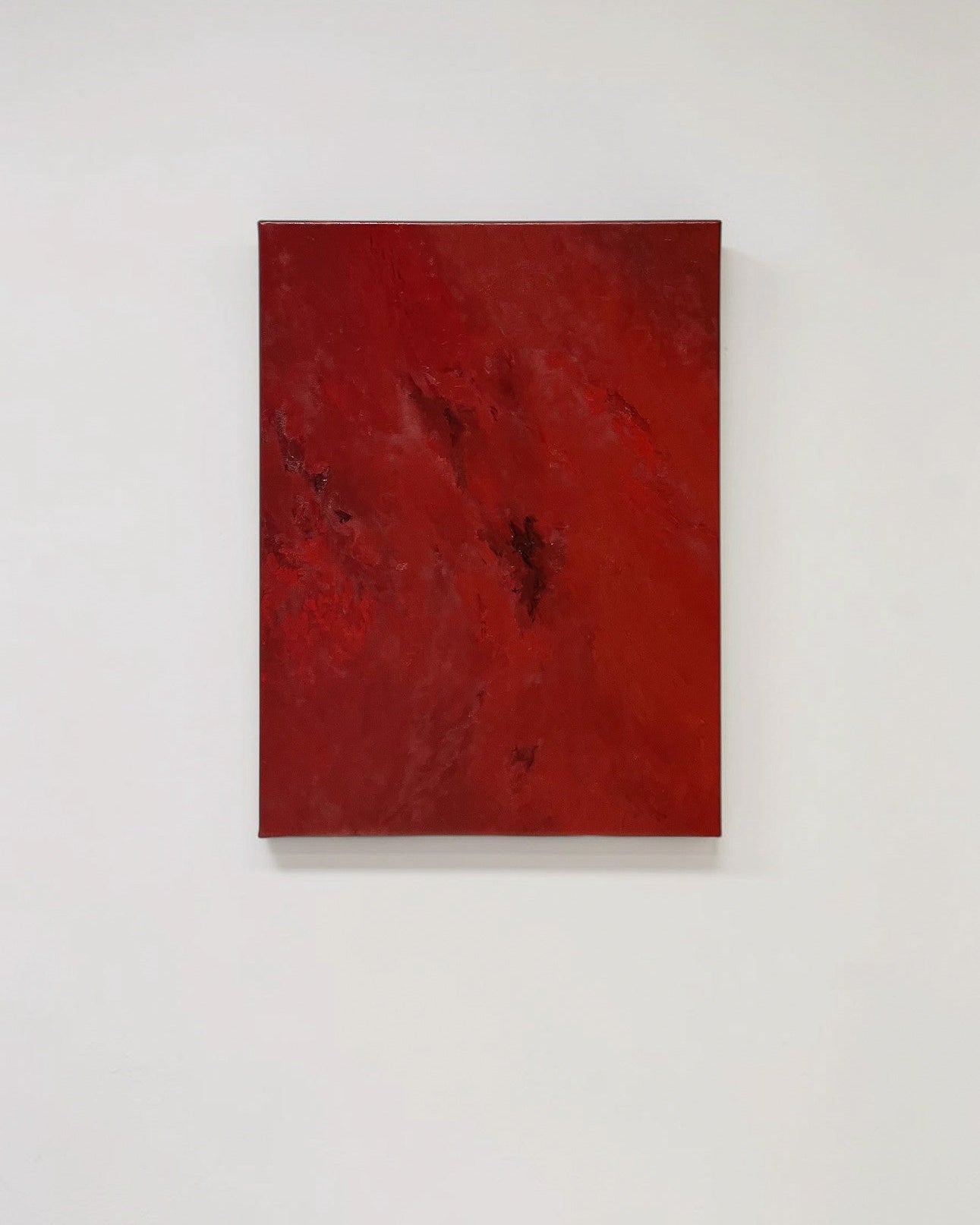 Crimson Bloom (2026) - Oil Painting by Aimée Adriaansen by Aimée Adriaansen | The Oblist