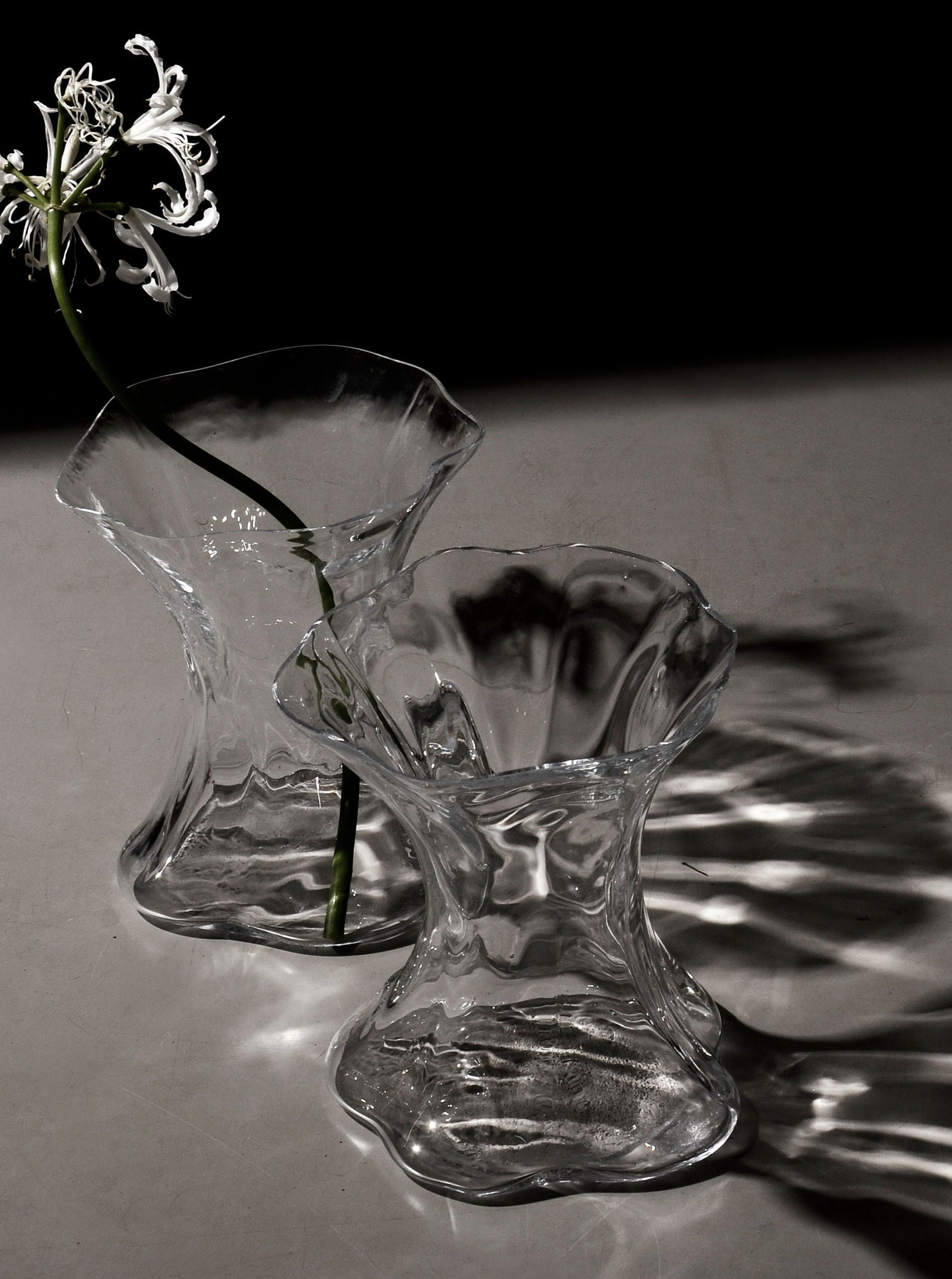 Two Fvorm Tulpe Tulip Vases in clear glass, featuring wavy edges, sit on a white surface with striking shadows. One vase holds a single white flower with a long green stem, and dramatic lighting highlights their textured reflections.