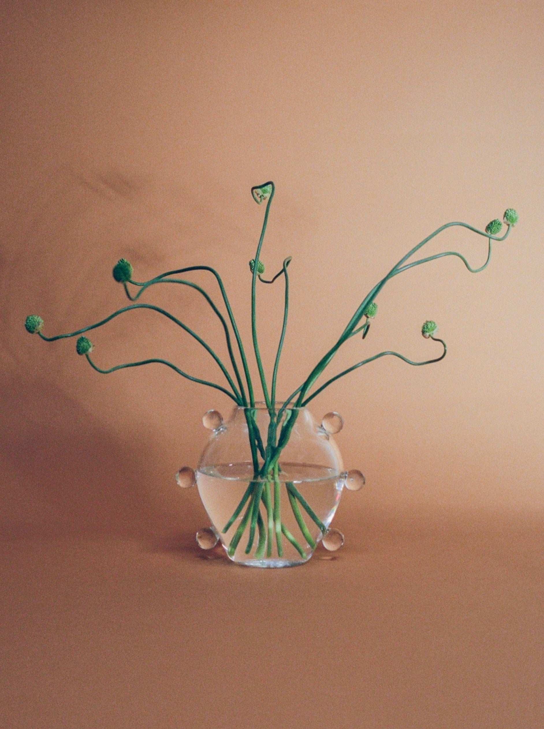 Vases La Lumiere Vase Sophie Lou Jacobsen