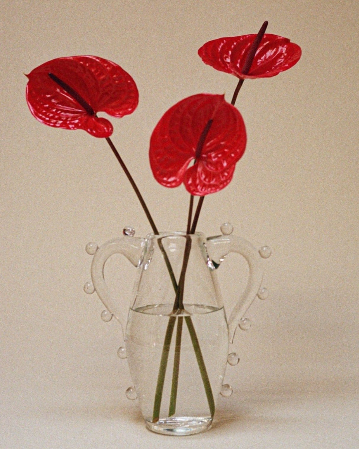 The La Vitalité Vase by Sophie Lou Jacobsen, a clear minimalist glass design with handles, is partially filled with water and showcases three vibrant red anthurium flowers. Their glossy, long stems are elegantly arranged against a neutral background, creating a striking contemporary piece.
