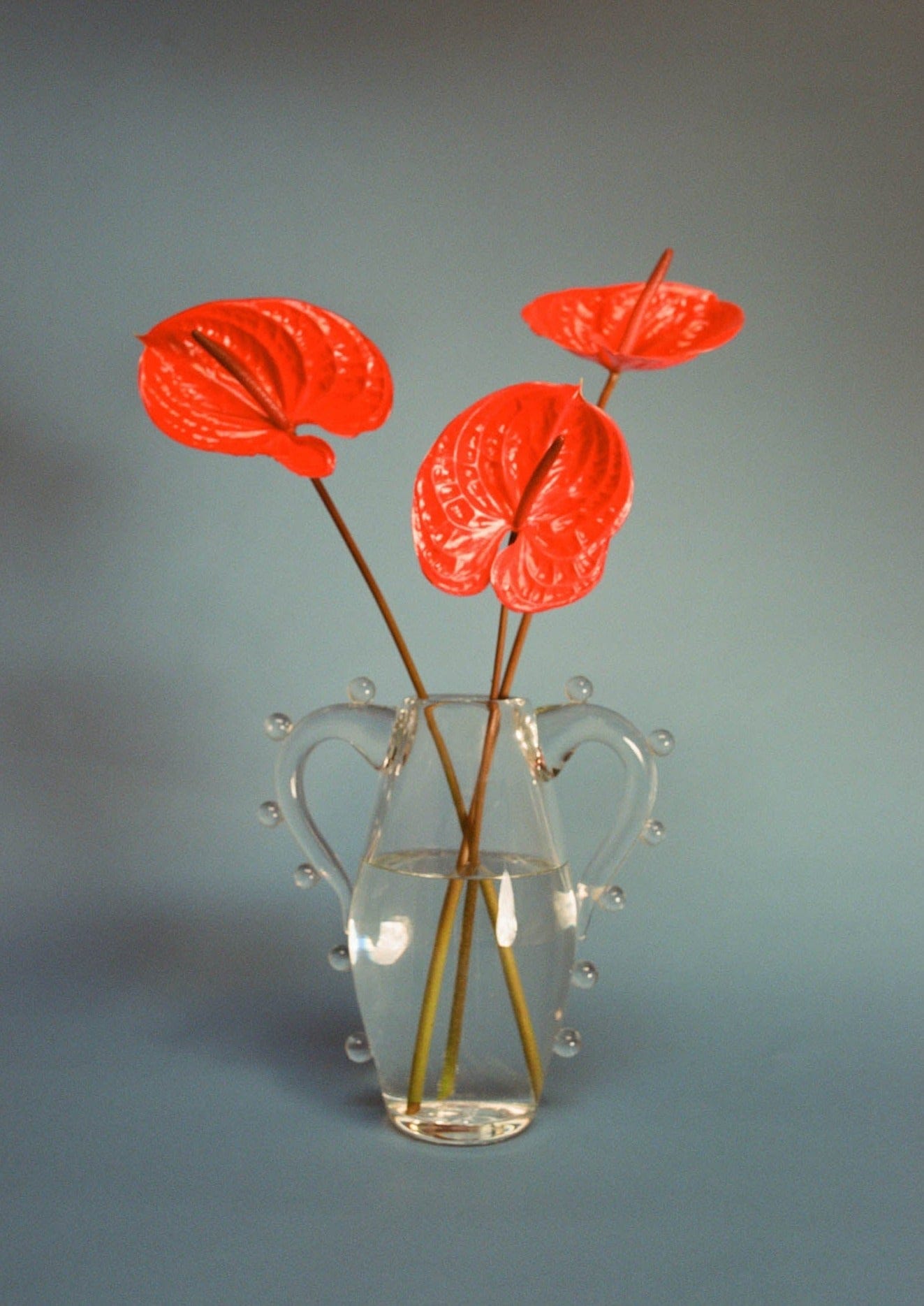 Vases La Vitalité Vase Sophie Lou Jacobsen