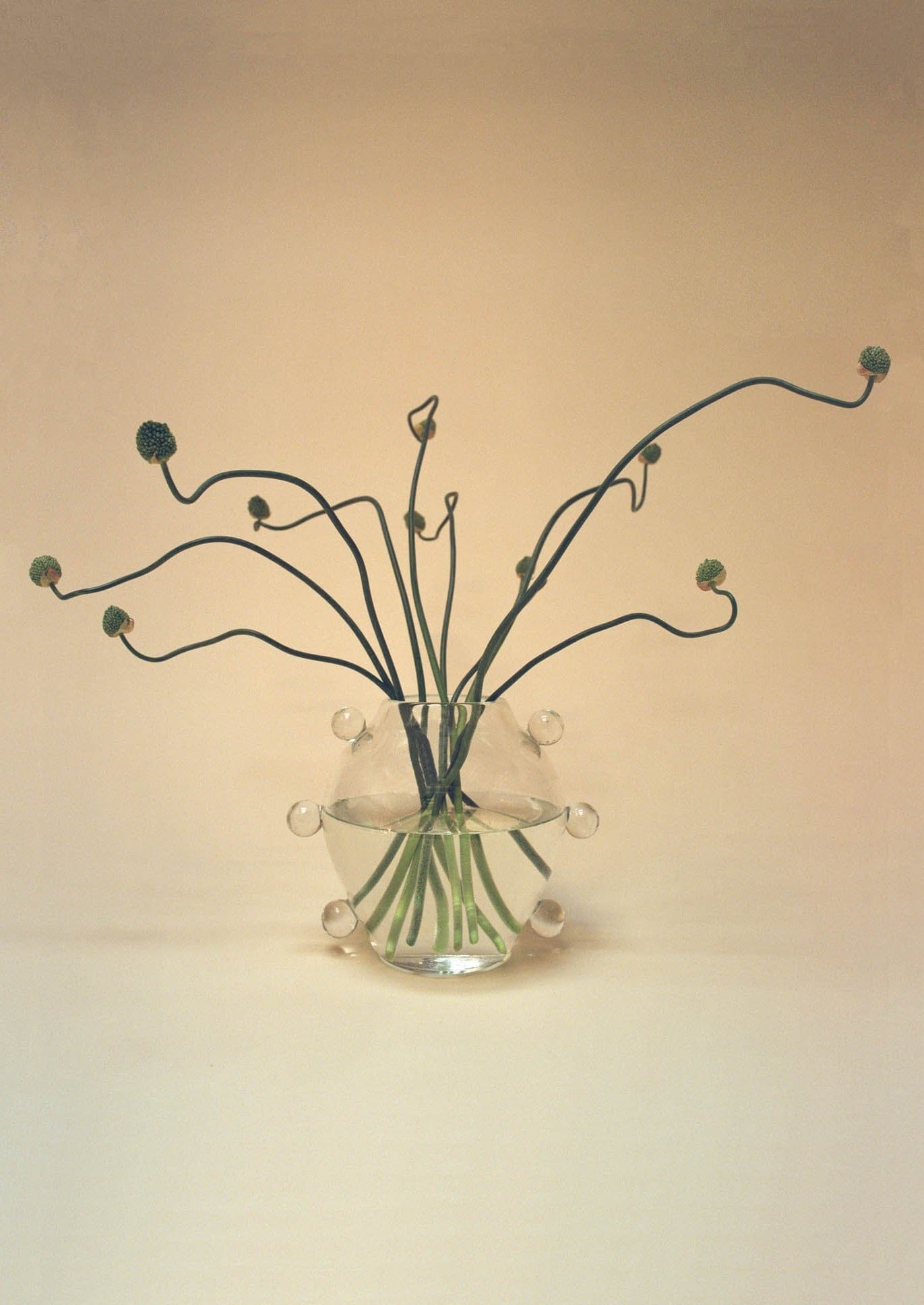 Vases La Lumiere Vase Sophie Lou Jacobsen