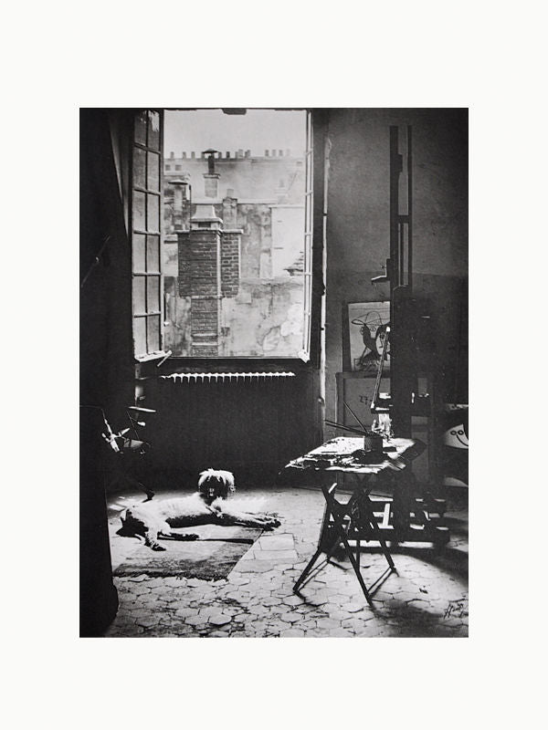 Black and white photograph of Maison Plage's Brassai: Paris & Picasso, capturing the essence of the Paris art scene, with a dog lying on the floor. Sunlight streams through an open doorway. Canvas frames, a table