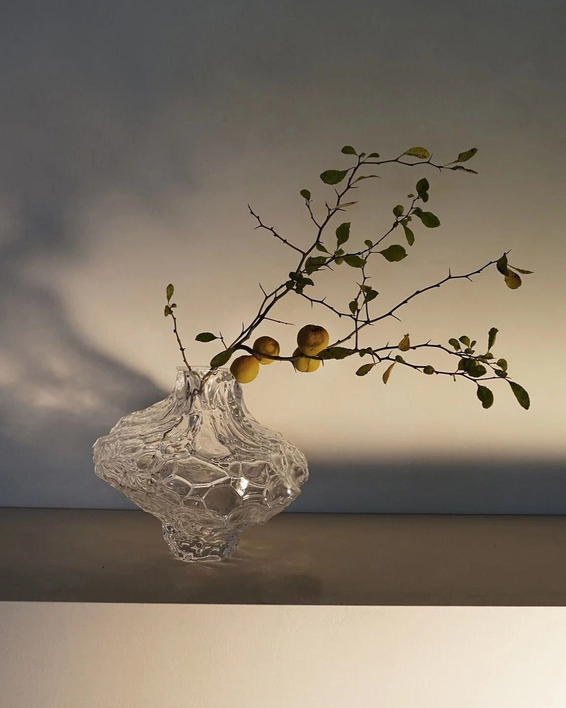A Hein Studio Canyon Vase - Large - Clear resembling a splash of water holds a slender branch with green leaves and small round fruits, set against a soft grey backdrop with subtle lighting.