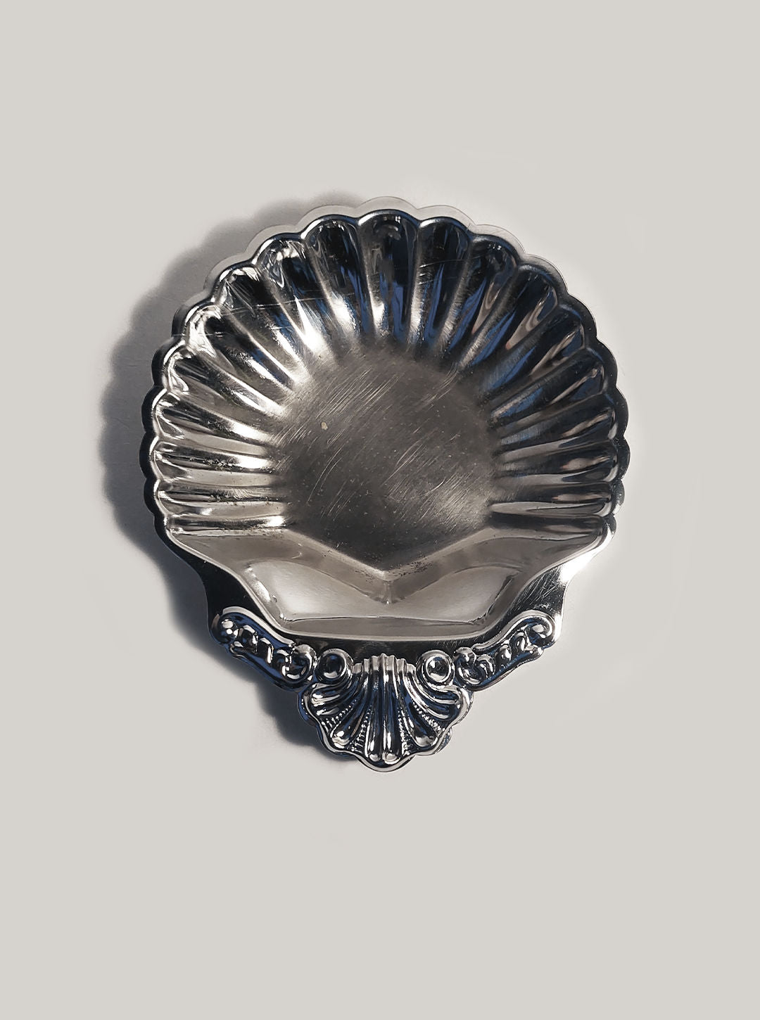 Set of 8 Small Shell Dishes in Natural White Color for Coastal Home Decor