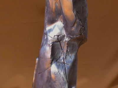 Contemporary Vases: The Art of Glass and Ceramic Design