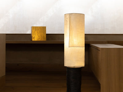 Éclairage Contemporain : Comment Choisir une Lampe de Designer Exceptionnelle