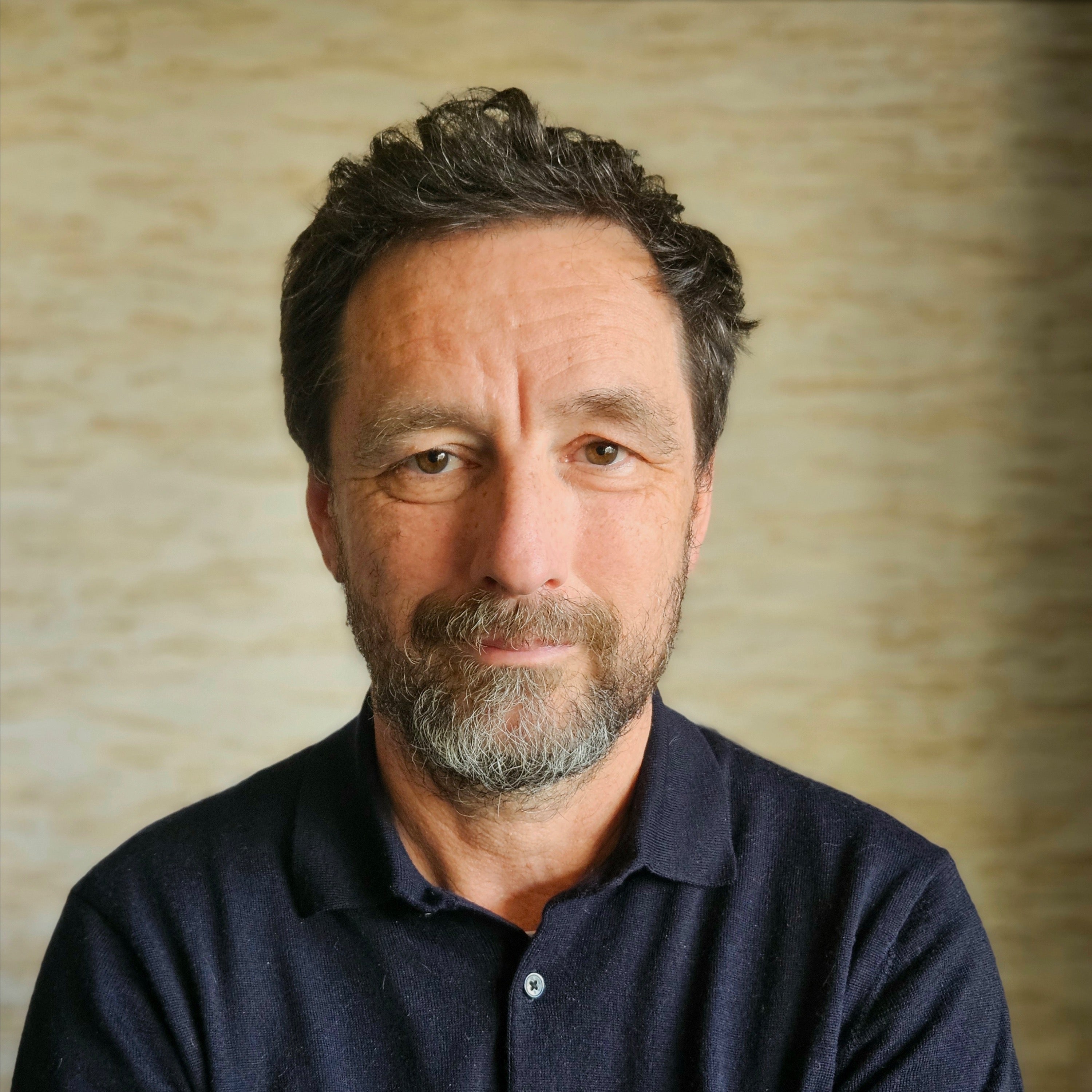 Logo Vincent Perbal