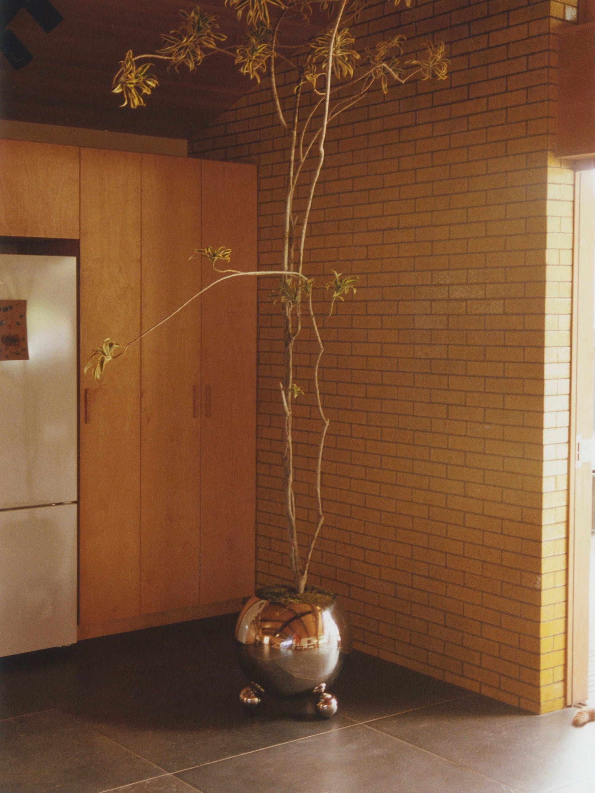 A tall plant with thin branches and sparse leaves thrives in a glossy, spherical MUHLY Selene Planter, Large, which rests on small feet atop a dark-tiled floor. The background is adorned with a wooden cabinet and brick wall, contributing to a warm, rustic ambiance.