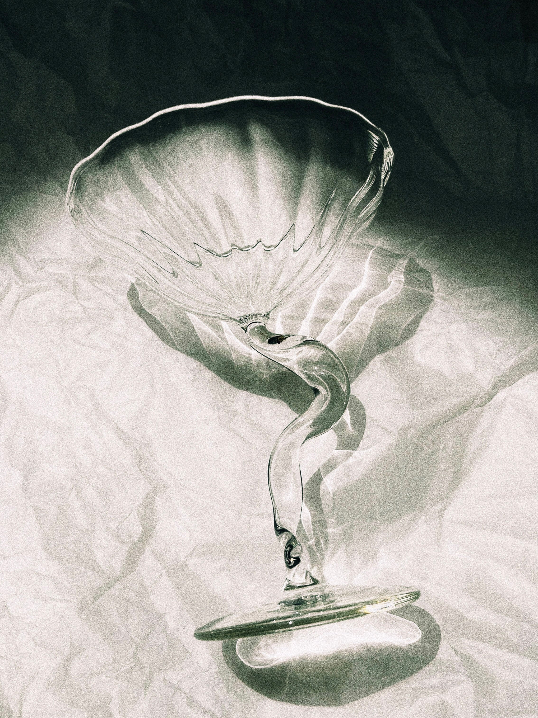 An image showcasing a black and white setting where an elegant "Ribbon" Cocktail Coupe from Hors-d'Oeuvre rests on crumpled paper. This French-handcrafted coupe, made from borosilicate glass, casts intricate shadows that accentuate its delicate curves and textured design.