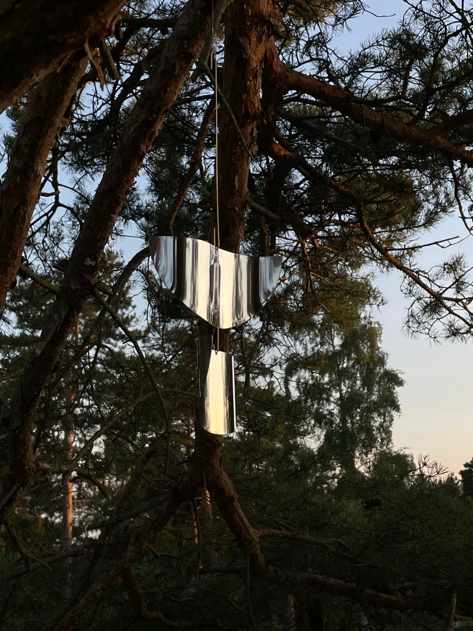 The Sun Catcher by Studio Fie Paarup, handmade in Denmark, hangs from a tree branch and reflects light among pine needles, resembling a delicate ornament against the soft evening sky and forest.