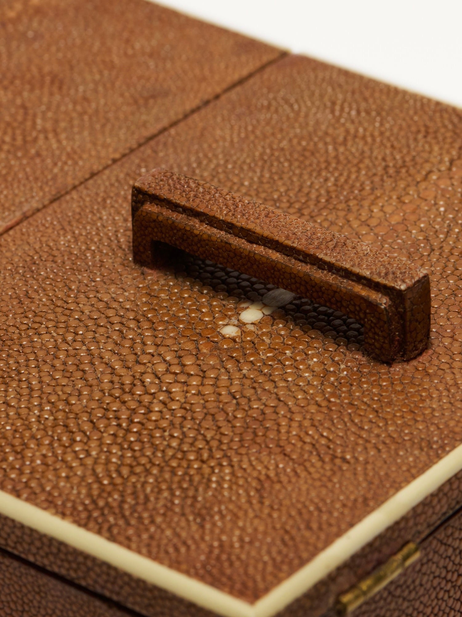 Shagreen Box