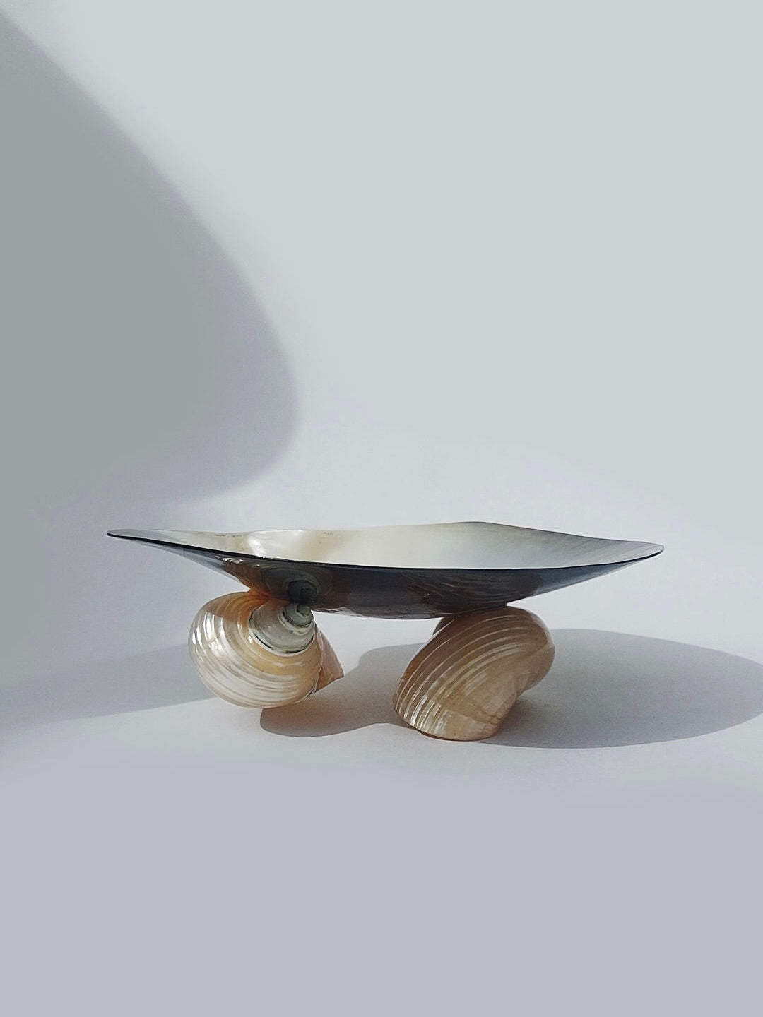 A unique design from Les Objoies, the Mother-Of-Pearl Vide Poche features a sleek, reflective, oval-shaped black interior balanced on two large mother-of-pearl seashell supports, set against a light gray background – a stunning decorative piece for any space.