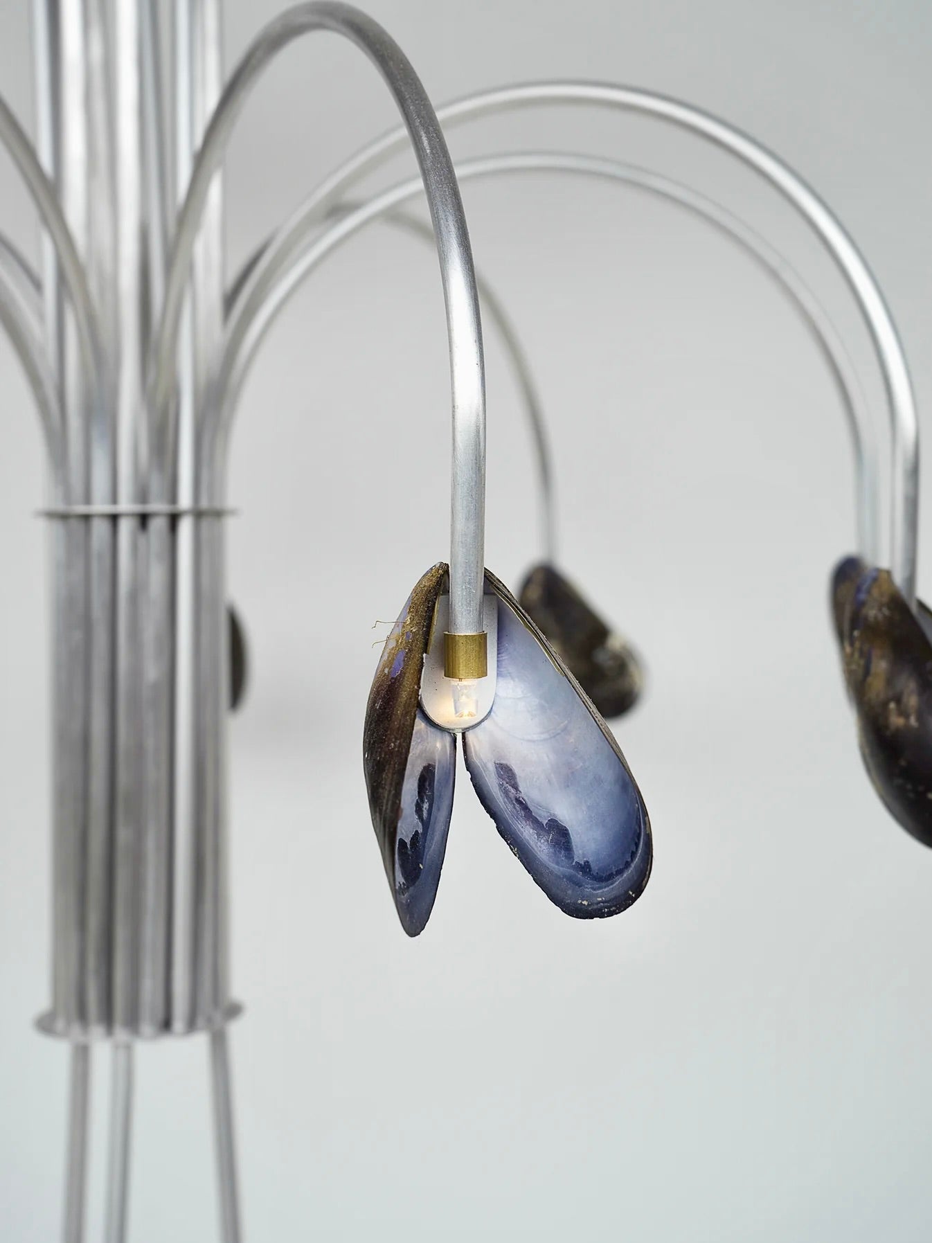 A detailed view of the Shell Light, a unique creation by Touch With Eyes, showcases its artful design featuring gracefully arching metal rods. These elegant curves support open blue mussel shells that offer a glimpse of mother-of-pearl, seamlessly blending natural beauty with sleek industrial aesthetics.