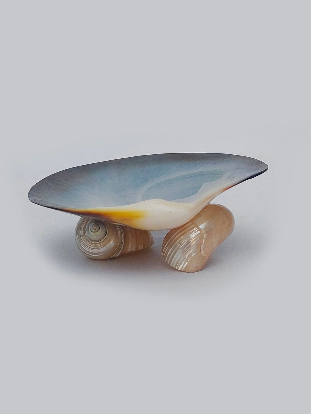 The Mother-Of-Pearl Vide Poche by Les Objoies is a distinctive bowl-like sculpture featuring a smooth, gradient surface that transitions from blue to yellow hues. Elevated on three polished, mother-of-pearl shell-like bases, it boasts an artistic and marine-inspired appearance. This decorative piece stands out beautifully against a simple light grey background.