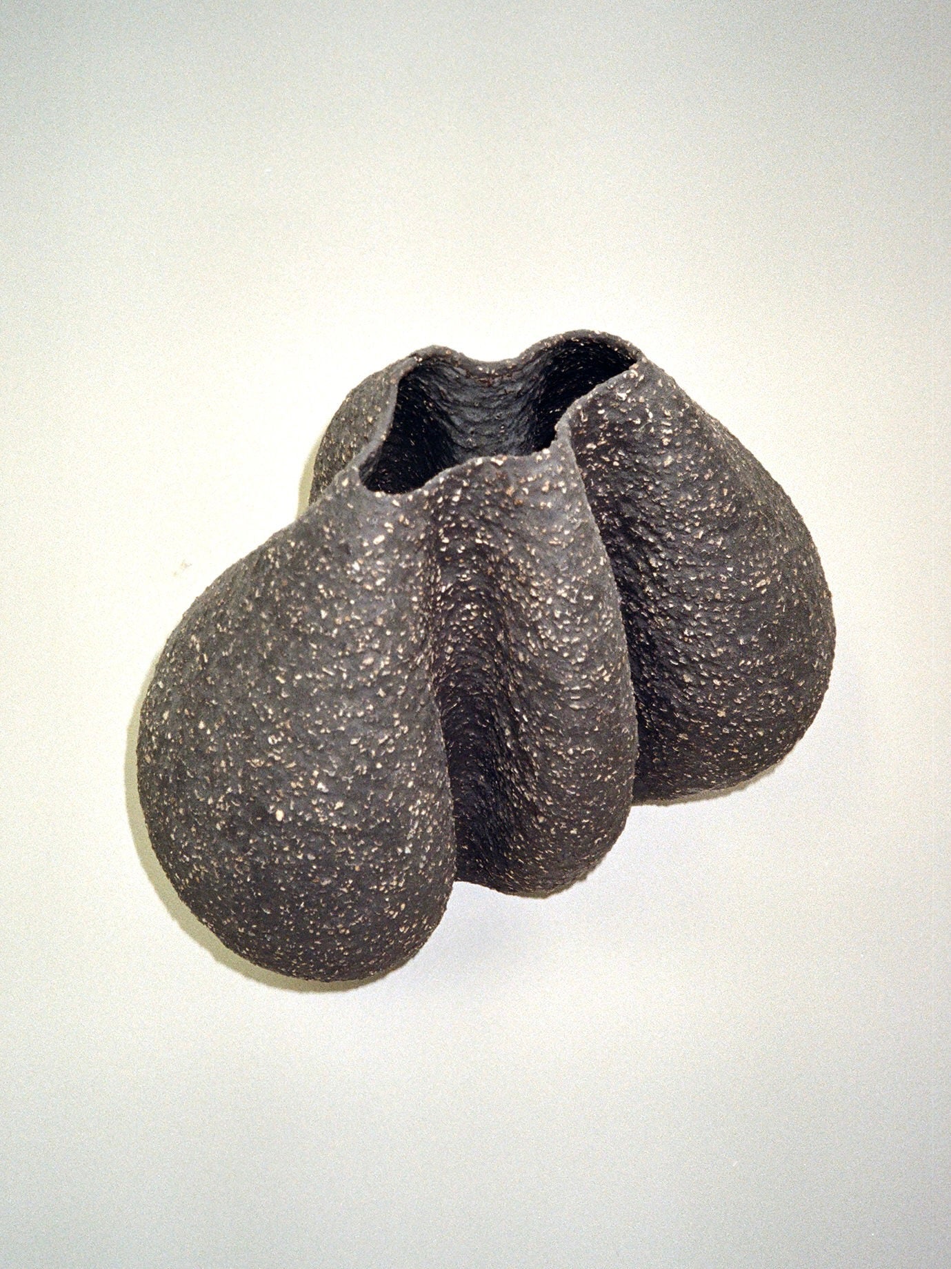 Growing Vase n.1