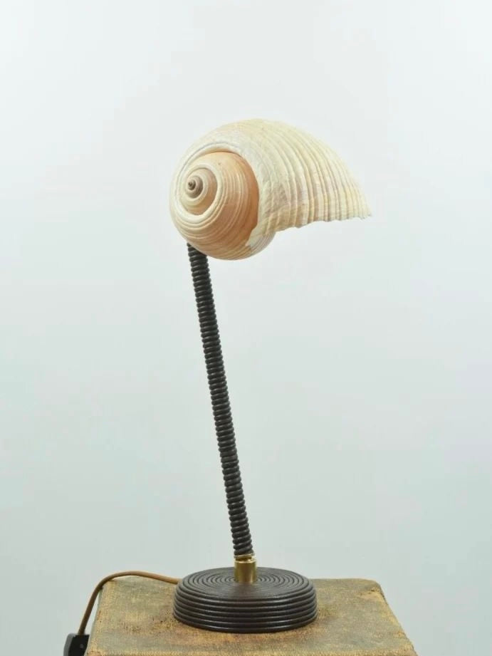 L'Escargot table lamp with nautilus shell shade on flexible stem