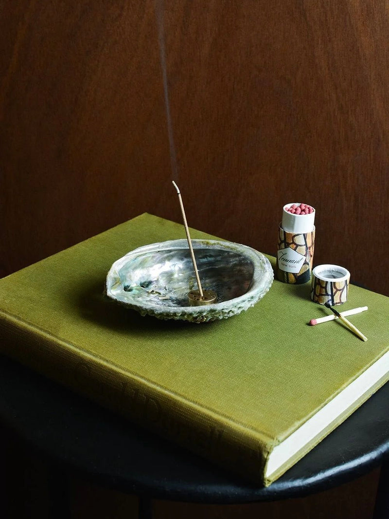 Abalone shell incense holder with brass stick on green book