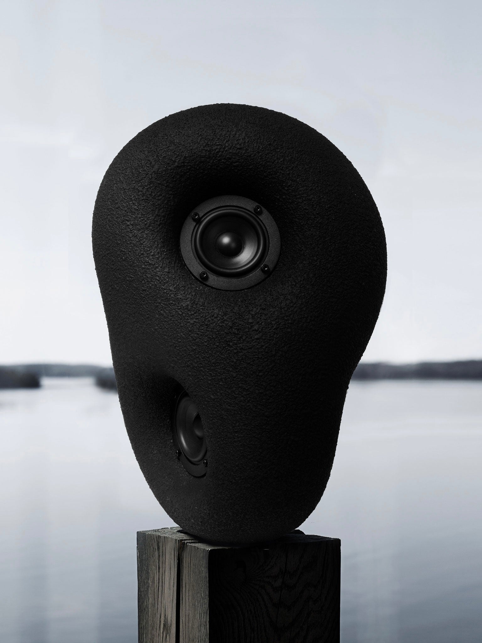 Sculpture Acoustique Noir - Bluetooth