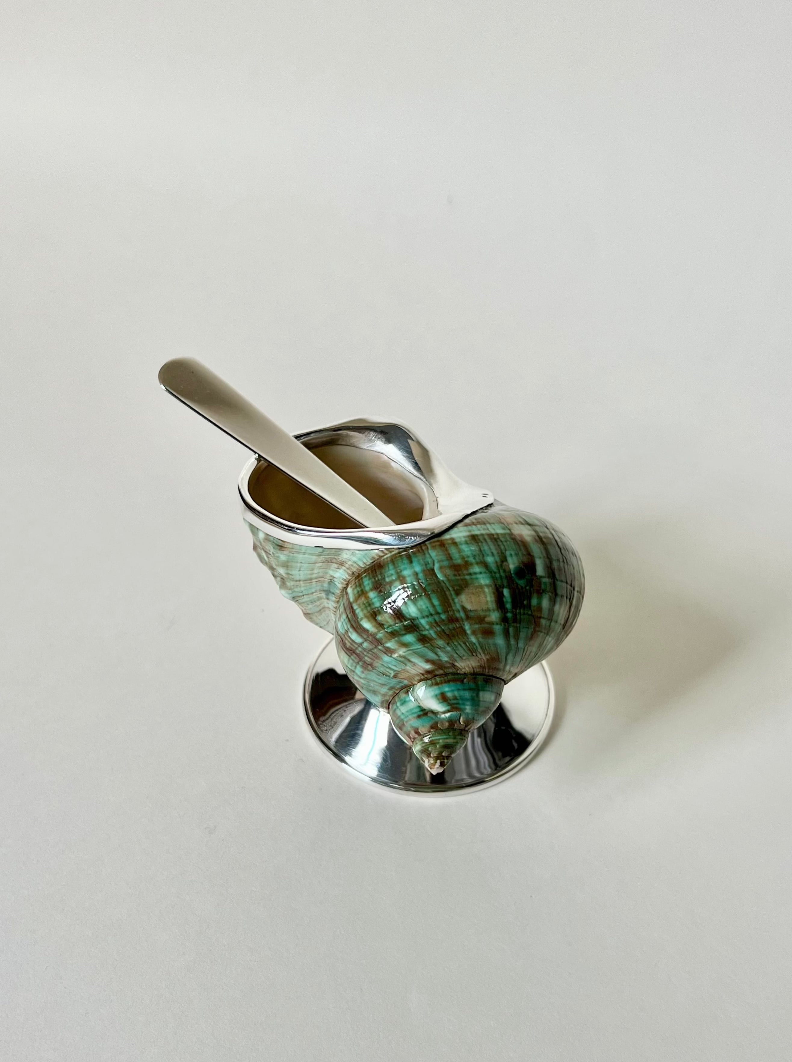Elegant and stylish Jade Shell Sugar Bowl with a unique sea-inspired design