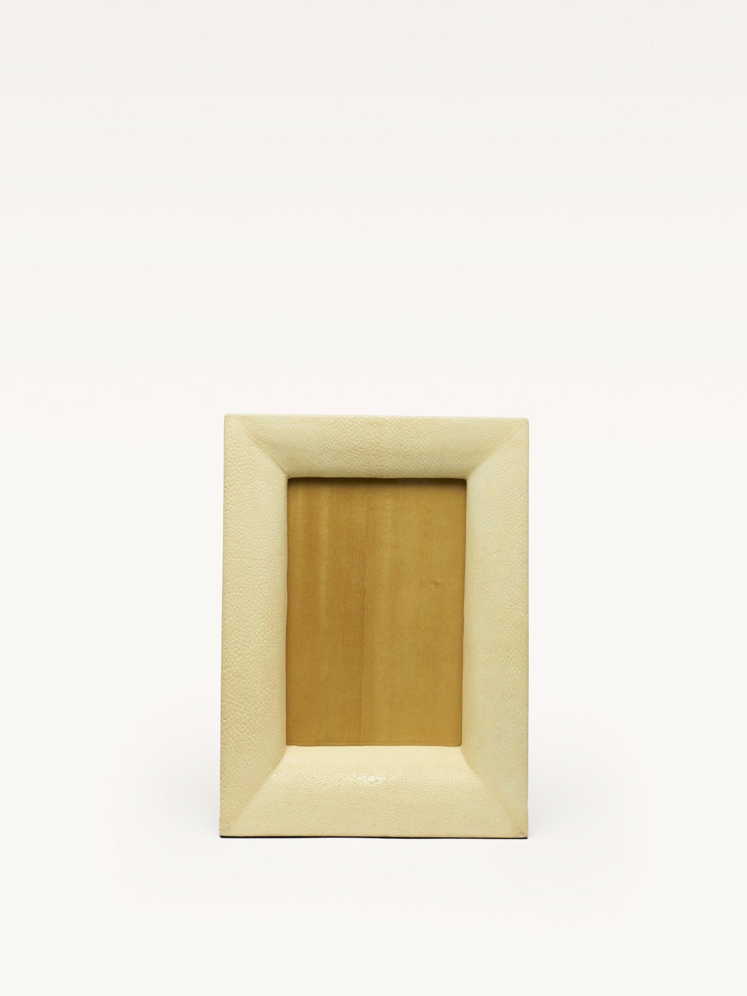 Shagreen Frame
