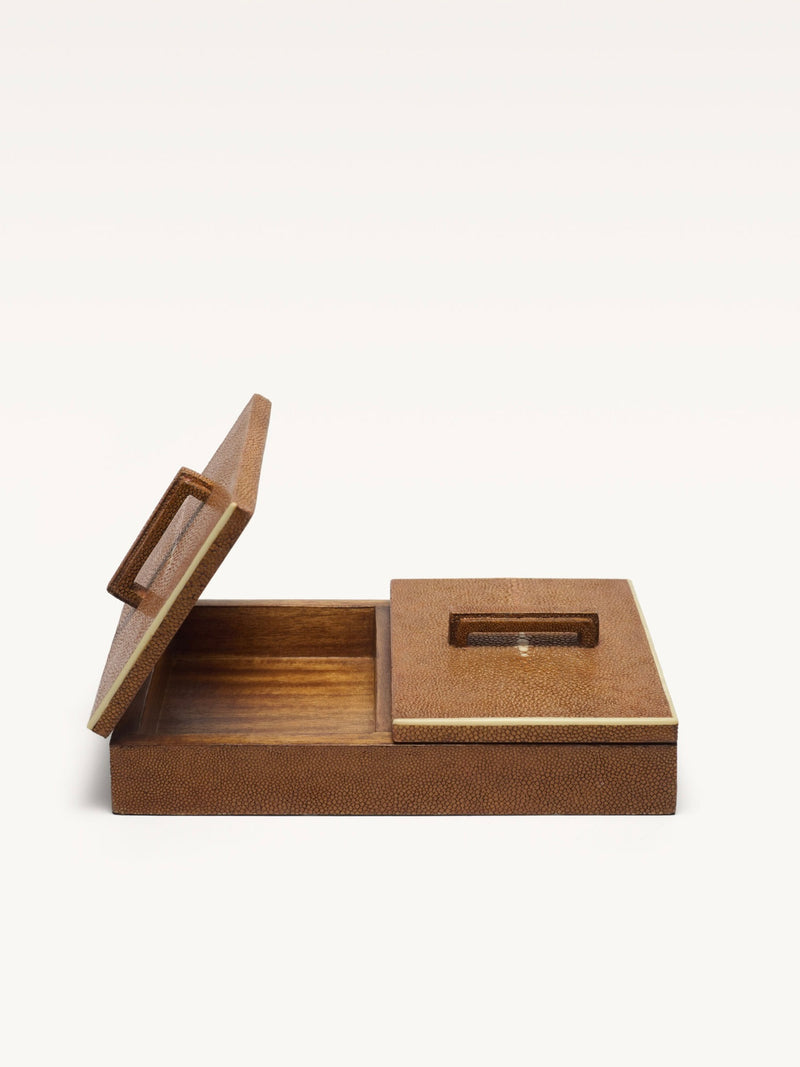 Shagreen leather box with hinged lid and interior compartments