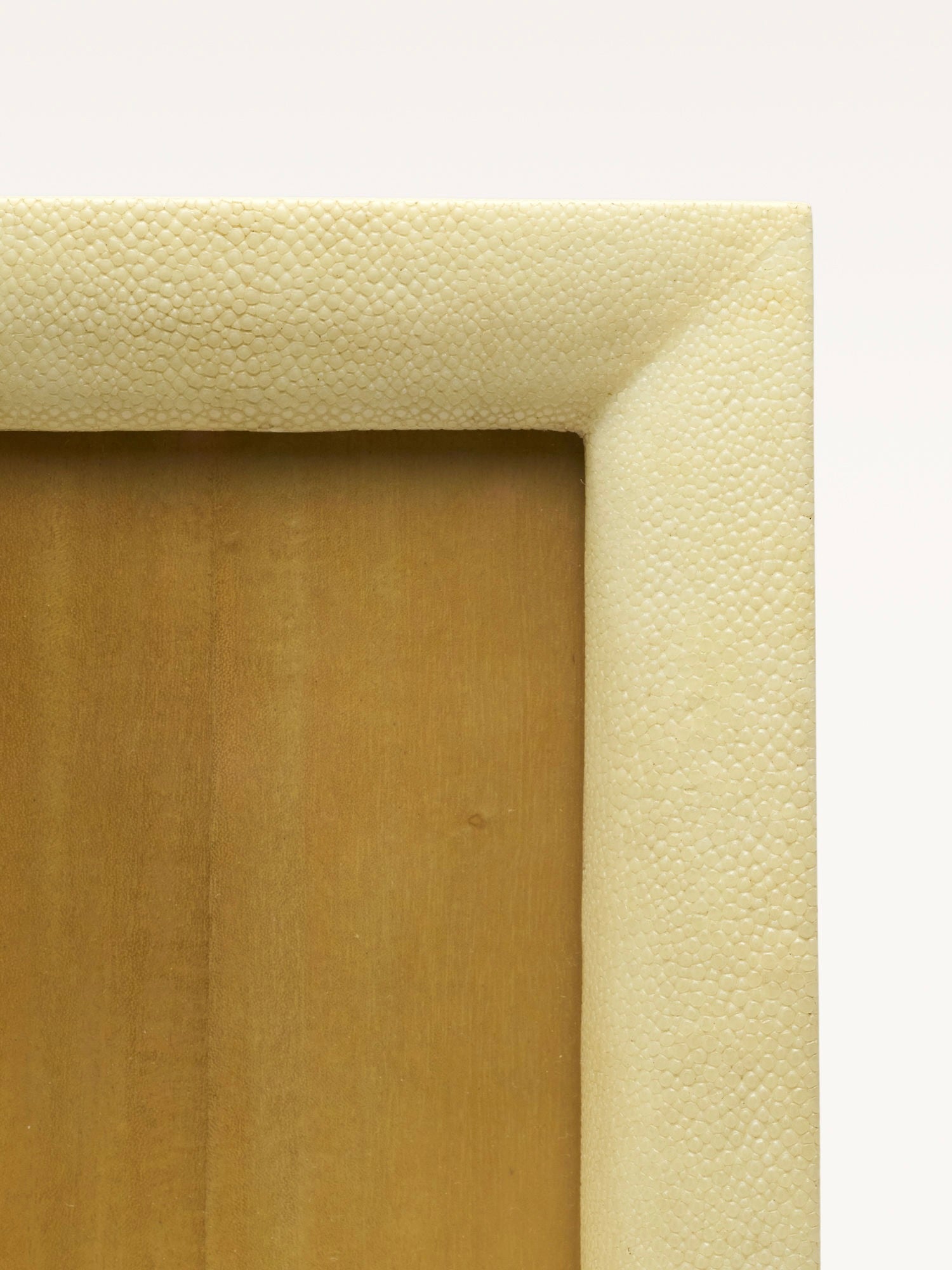 Shagreen Frame