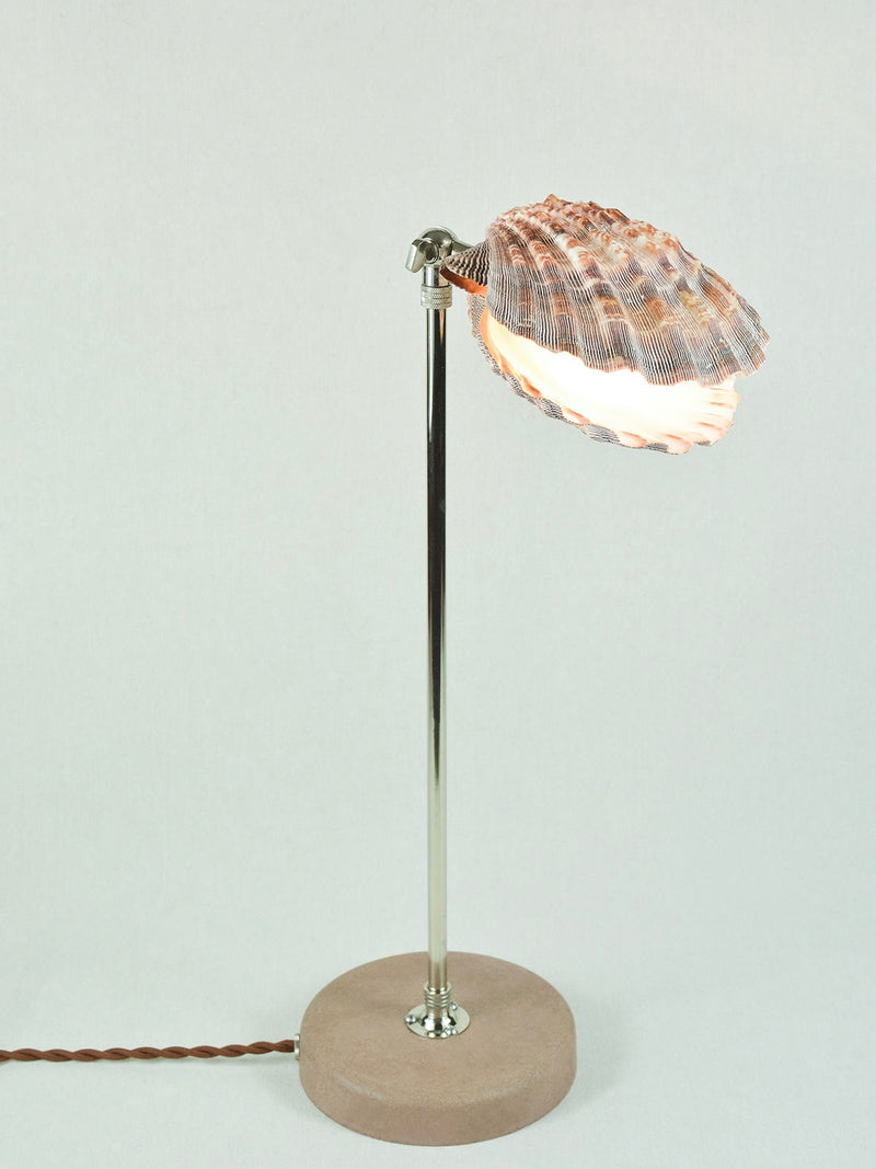 Lavender Lion's Paw shell table lamp with brass adjustable arm